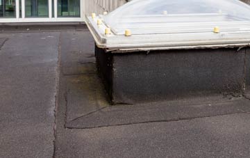 disadvantages of Backwell Green flat roofs