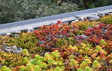 the cost of Backwell Green green roof installation