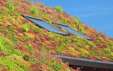 Backwell Green living roof systems
